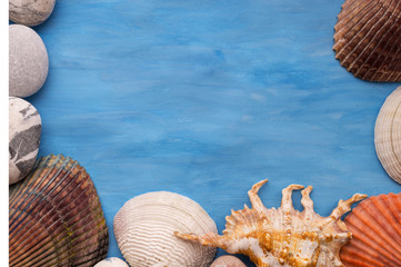 Summer sea background - shells on a blue background - 179389157