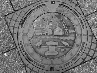 Manhole cover decorated with gulls in Denmark