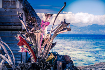 DECORATION NATURELLE