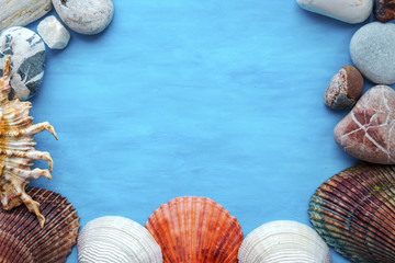 Summer sea background - shells on a blue background - 179392125
