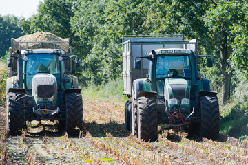 Maisernte, Maishäcksler in Aktion, Erntewagen mit Traktor