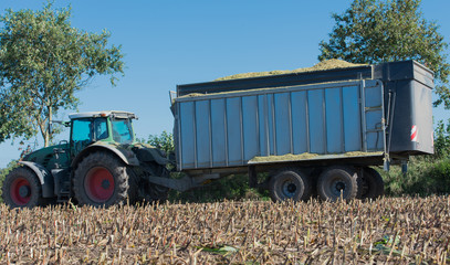 Maisernte, Maishäcksler in Aktion, Erntewagen mit Traktor