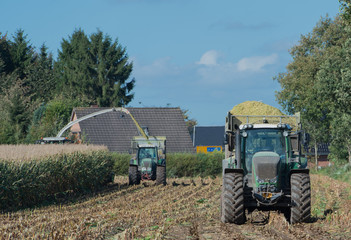 Obraz premium Maisernte, Maishäcksler in Aktion, Erntewagen mit Traktor