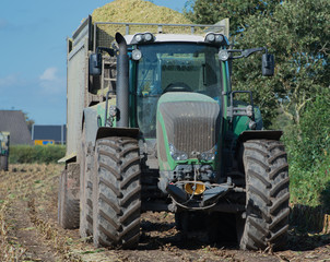 Fototapeta premium Maisernte, Maishäcksler in Aktion, Erntewagen mit Traktor