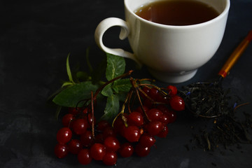 Cup of tea with viburnum berries