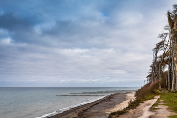 Gespensterwald Nienhagen