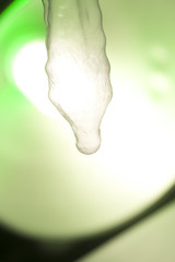 Rubber condom contraceptive