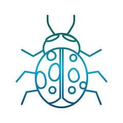 bug icon over white background vector illustration