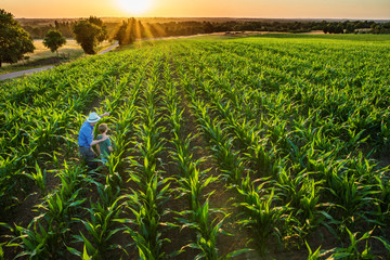 A farmer and his son standing in a cornfield at sunset