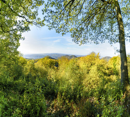 Blick aus dem hebstlichen Siebengebirge &uuml;ber den Drachenfels ins Rheintal und die Eifel