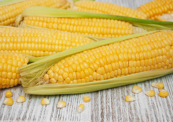 Fresh corn on the cob