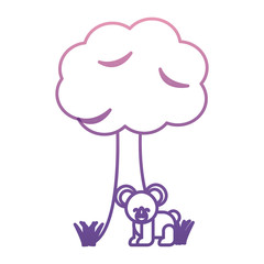 cute koala and tree icon over white background vector illustration