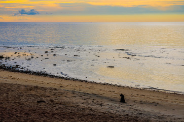 Fototapeta na wymiar Crépuscule sur plage déserte