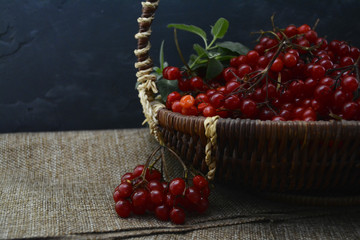 basket with berries of viburnum on the table