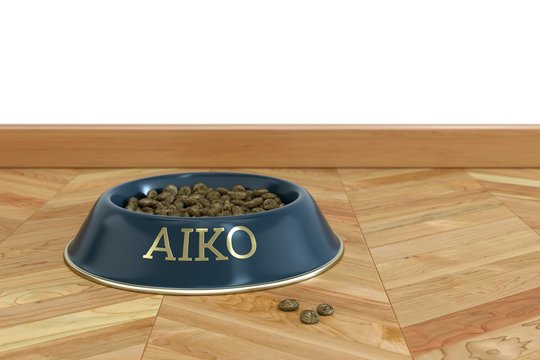 Hundenapf mit Namen - Aiko
