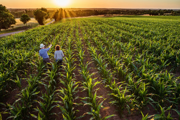A farmer and his wife standing in their cornfield at sunset