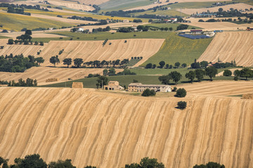 Obraz premium Summer landscape in Marches (Italy) near Filottrano