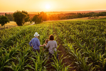 Farmer family standing in their cornfield at sunset