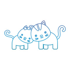 cute couple of cats icon over white background vector illustration