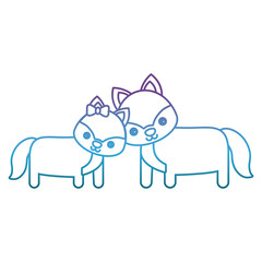 cute couple of foxes icon over white background vector illustration