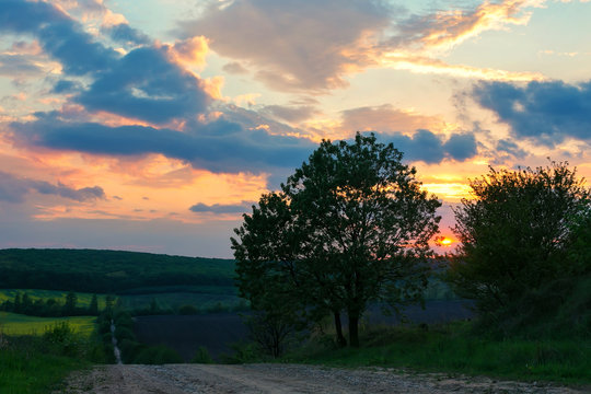 landscape, Ukrainian landscape, sunset in the field,