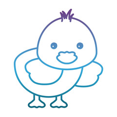 cute duck icon over white background vector illustration