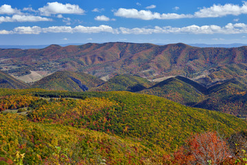 View of autumn colors and North Fork Mountain, located in the Allegheny Highlands of West Virginia, USA