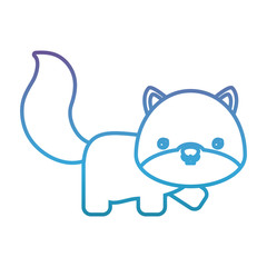cute squirrel icon over white background vector illustration