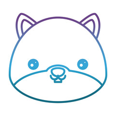 cute squirrel icon over white background vector illustration
