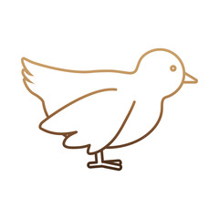 dove icon over white background vector illustration