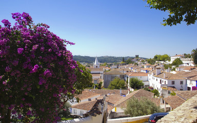 Obraz premium Beautiful cityscape in Óbidos. Portugal.