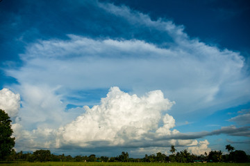 sky and cloud with rice field rural scene