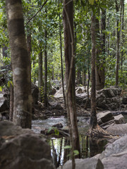 Berry Springs, Northern Territory - Australia