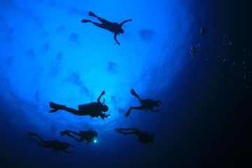 Scuba diving. Scuba divers underwater in ocean