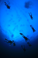 Scuba diving. Scuba divers underwater in ocean