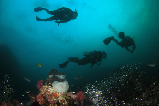 Scuba diving. Scuba divers explore coral reef underwater