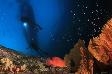 Fotobehang Scuba diving. Scuba divers explore coral reef underwater © Richard Carey