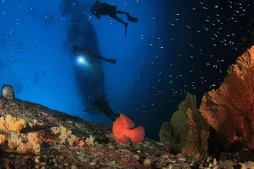 Gordijnen Scuba diving. Scuba divers explore coral reef underwater © Richard Carey