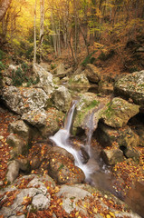 Autumn landscape nature