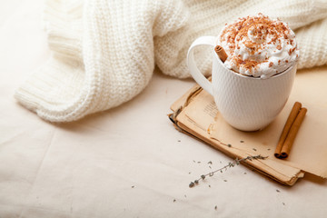 Cup of cocoa with cinnamon, whipped cream and chocolate. Textile background. Scandinavian winter concept. Horizontal composition with copy space.
