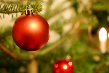 Fototapeta na wymiar Rote Christbaumkugel am Weihnachtsbaum, Nahaufnahme