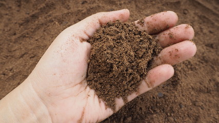 Palm kernel meal is showing on hand:an important feed ingredient and the by-product of the oil Palm its oils rich in highly saturated vegetable fats,cosmetic production , raw material,