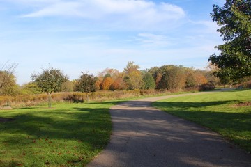Fototapeta na wymiar The winding path in the park on a sunny autumn day.