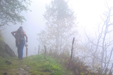 Sentiero nella nebbia