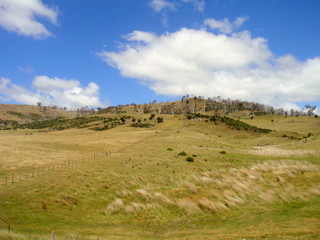 Obraz premium オーストラリアの草原