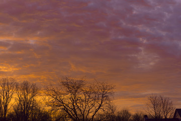 Fototapeta premium Sunrise