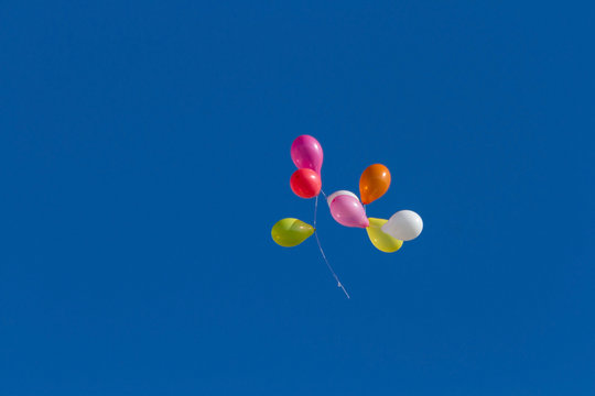 Colorful balloons flying through the air