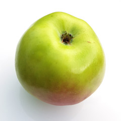 Landsberger Renette, Apfel, Malus, domestica, Alte Apfelsorte