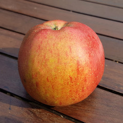 Melrose, Apfel, Malus, domestica, Alte Apfelsorte