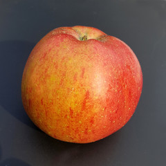 Melrose, Apfel, Malus, domestica, Alte Apfelsorte